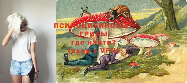 амф Строитель
