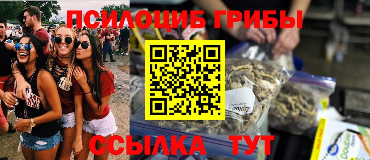 Псилоцибиновые грибы Cubensis  купить наркотик  Нальчик  Вход с VPN 